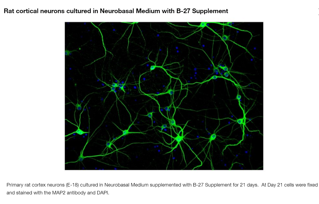 ed_1732849569504404.jpg 1732847845006.jpg