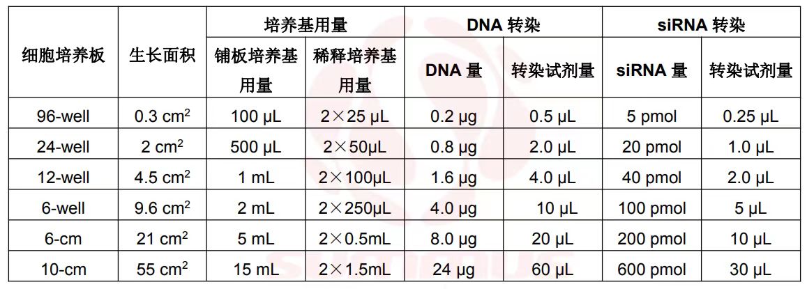 ed_1741503293126090.jpg ed_1741503293126090.jpg