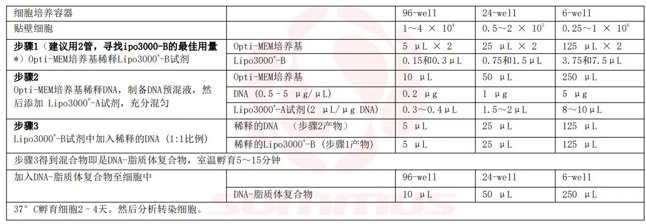 ed_1741509882544160.jpg ca4849957f1403721fbb896fd39d397.jpg