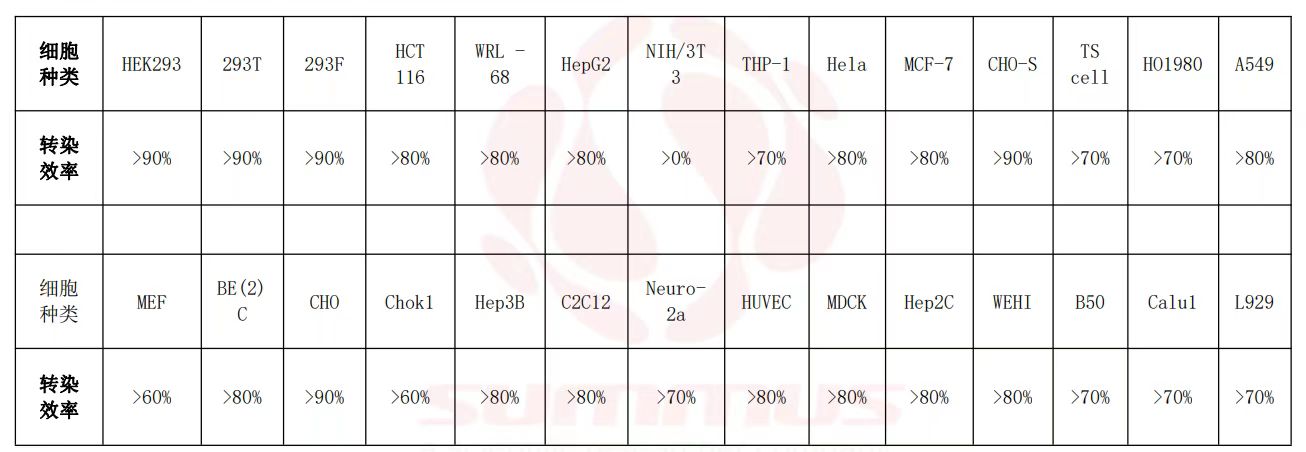 ed_1741510252184532.jpg ada42100384d43b163257434f5e1280.jpg
