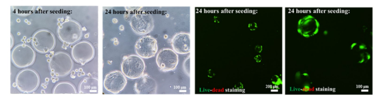 ed_1741749287309841.png image.png