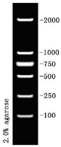 ed_1758508296717517.png ed_1758508296717517.png