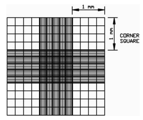 ed_1763536686538598.png image.png