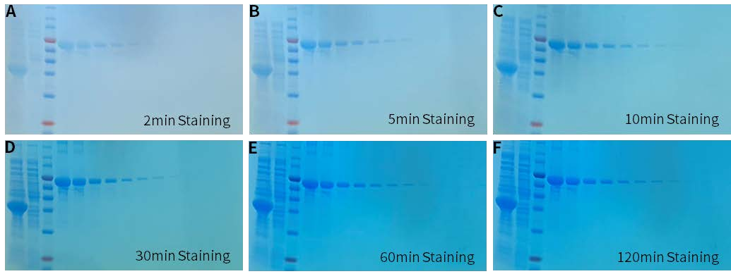 ed_1764234298475962.png 图片.png