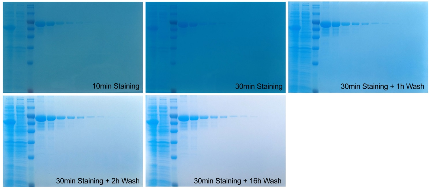 ed_1764295987249841.png 图片.png