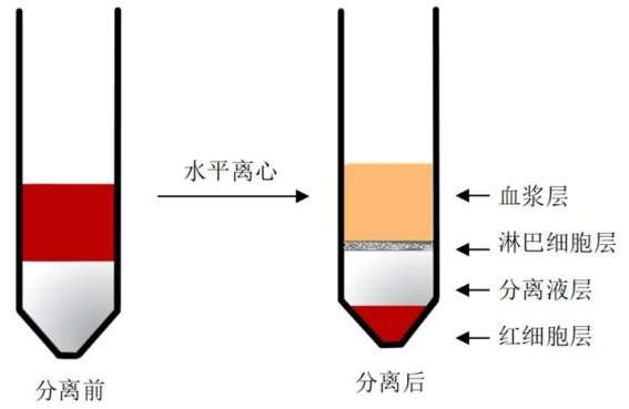 ed_1779759388629065.png ed_1779759388629065.png